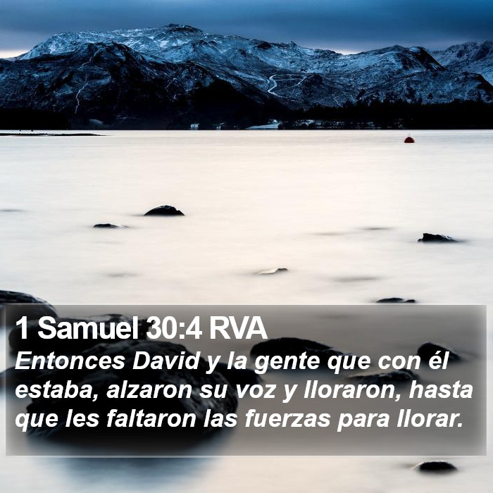 1 Samuel 30:4 RVA Bible Study