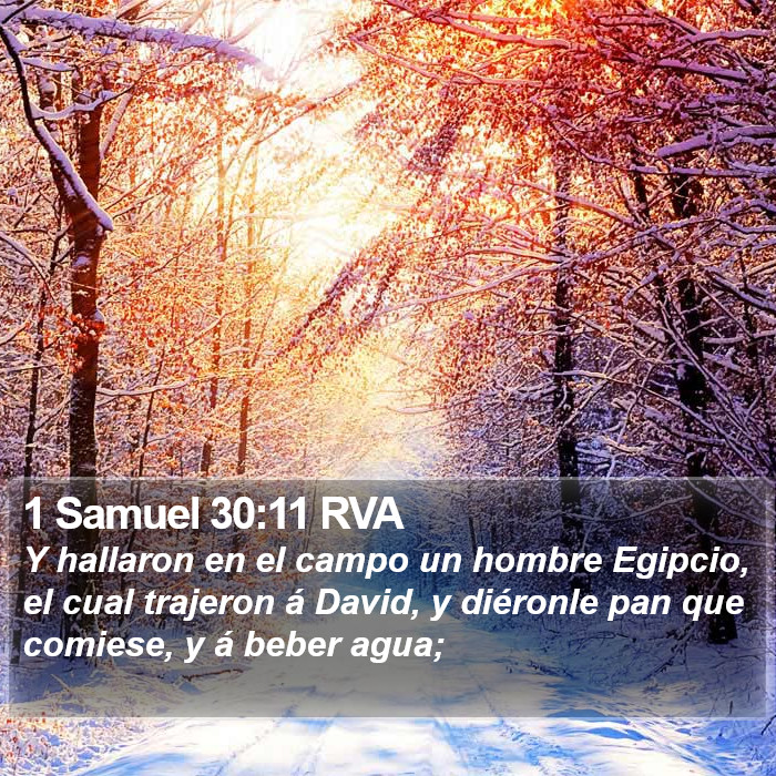 1 Samuel 30:11 RVA Bible Study