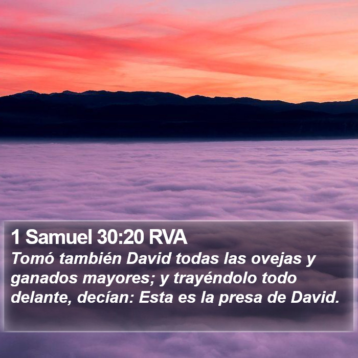 1 Samuel 30:20 RVA Bible Study