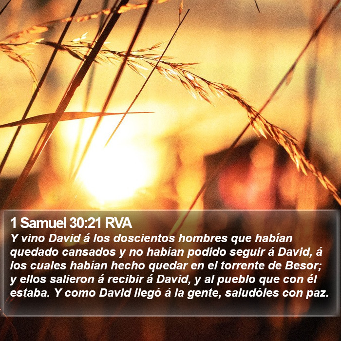 1 Samuel 30:21 RVA Bible Study