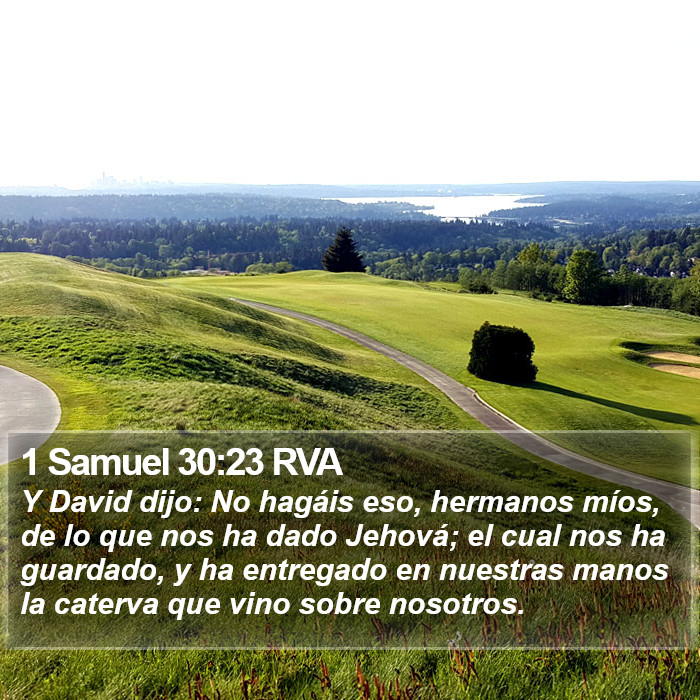 1 Samuel 30:23 RVA Bible Study