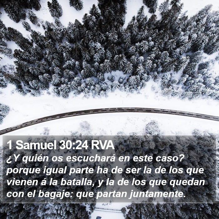 1 Samuel 30:24 RVA Bible Study