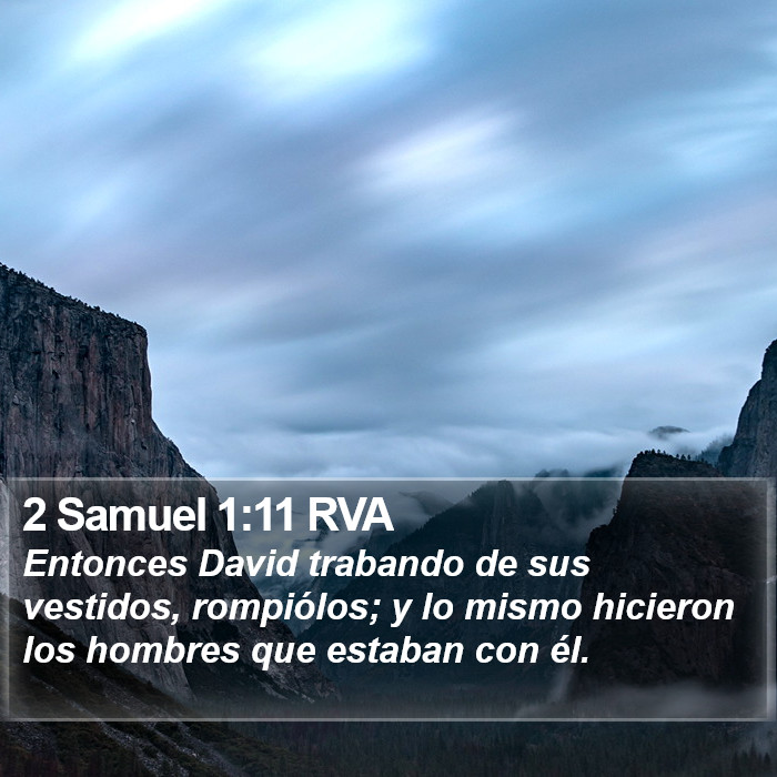 2 Samuel 1:11 RVA Bible Study