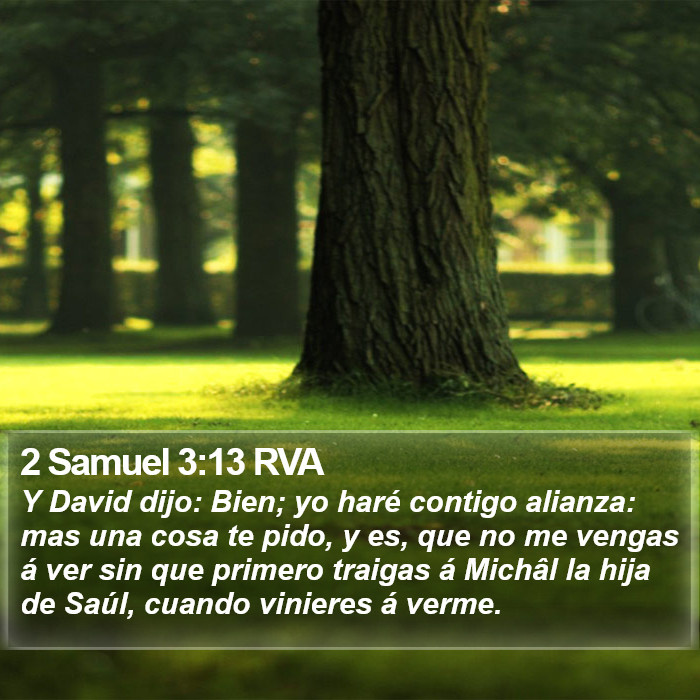 2 Samuel 3:13 RVA Bible Study