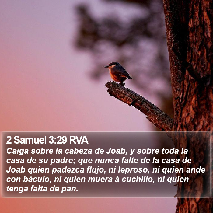 2 Samuel 3:29 RVA Bible Study