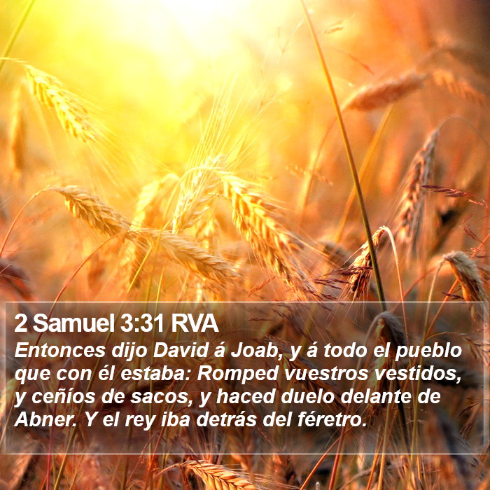 2 Samuel 3:31 RVA Bible Study