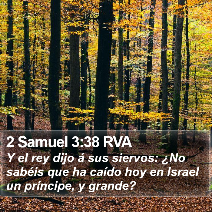 2 Samuel 3:38 RVA Bible Study