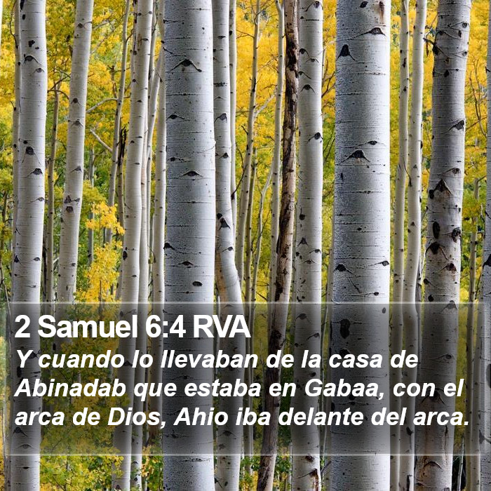 2 Samuel 6:4 RVA Bible Study