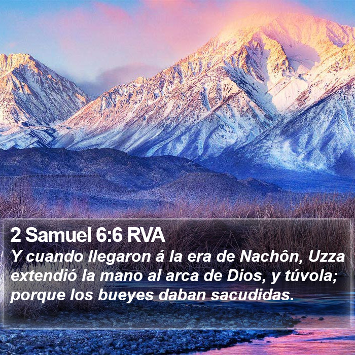 2 Samuel 6:6 RVA Bible Study