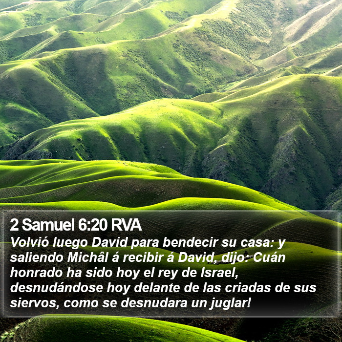 2 Samuel 6:20 RVA Bible Study