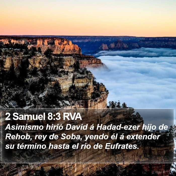 2 Samuel 8:3 RVA Bible Study