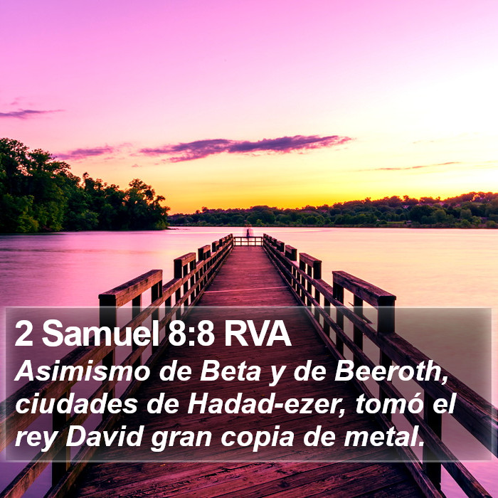 2 Samuel 8:8 RVA Bible Study