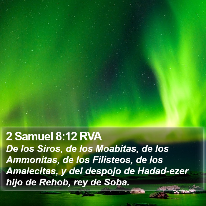 2 Samuel 8:12 RVA Bible Study