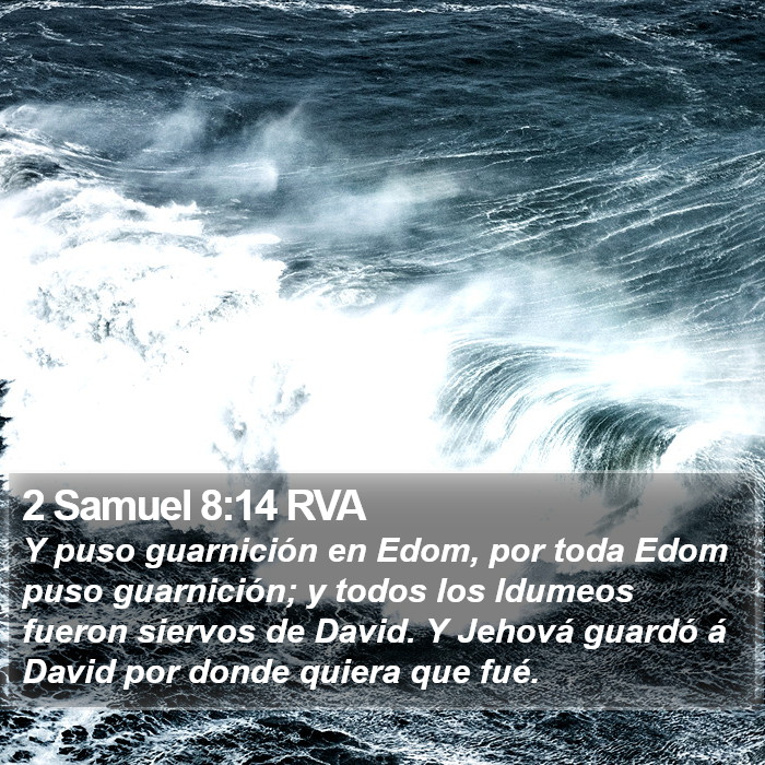 2 Samuel 8:14 RVA Bible Study