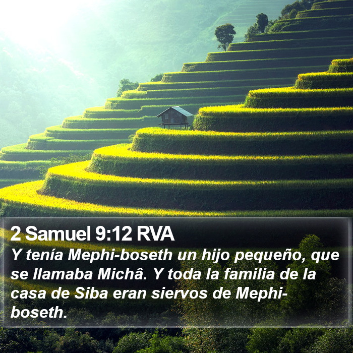 2 Samuel 9:12 RVA Bible Study