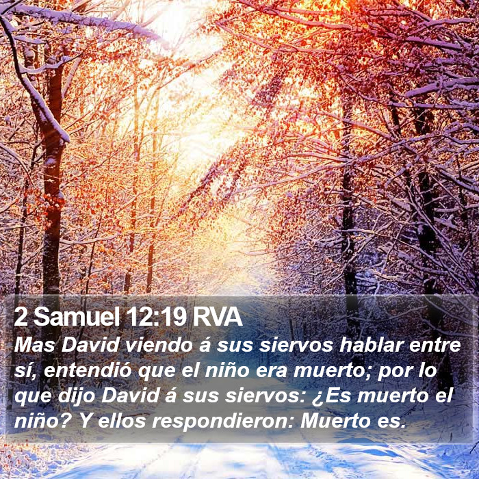 2 Samuel 12:19 RVA Bible Study