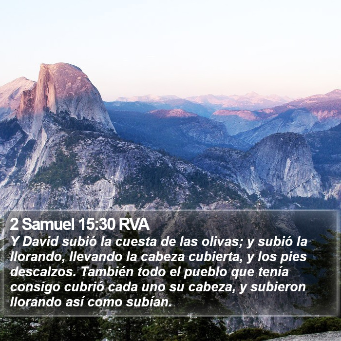 2 Samuel 15:30 RVA Bible Study