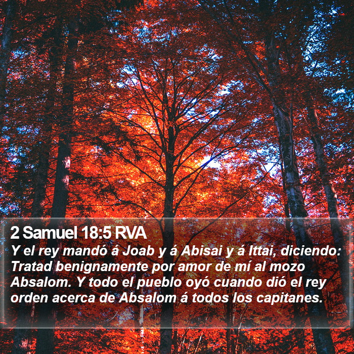 2 Samuel 18:5 RVA Bible Study