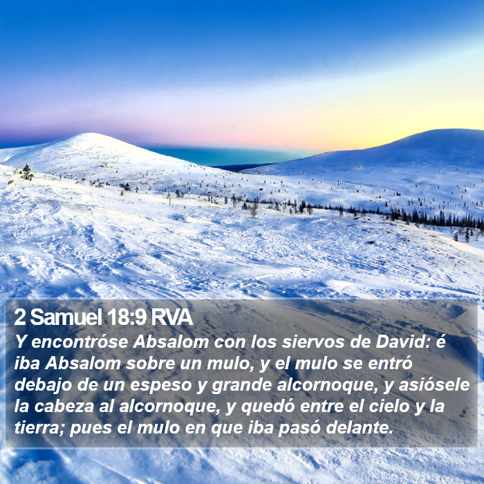 2 Samuel 18:9 RVA Bible Study