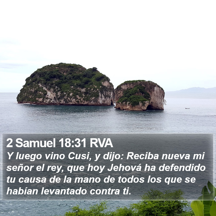 2 Samuel 18:31 RVA Bible Study