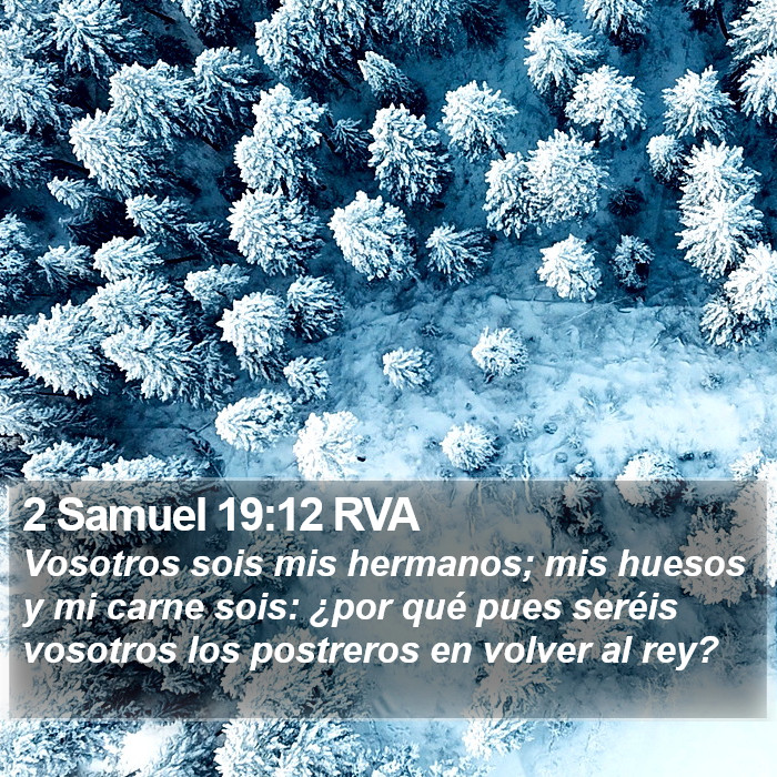 2 Samuel 19:12 RVA Bible Study