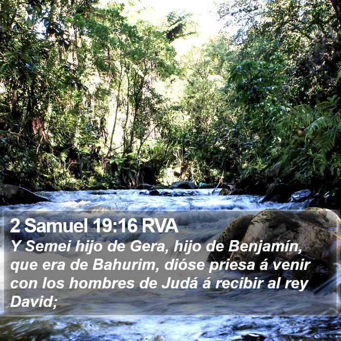 2 Samuel 19:16 RVA Bible Study