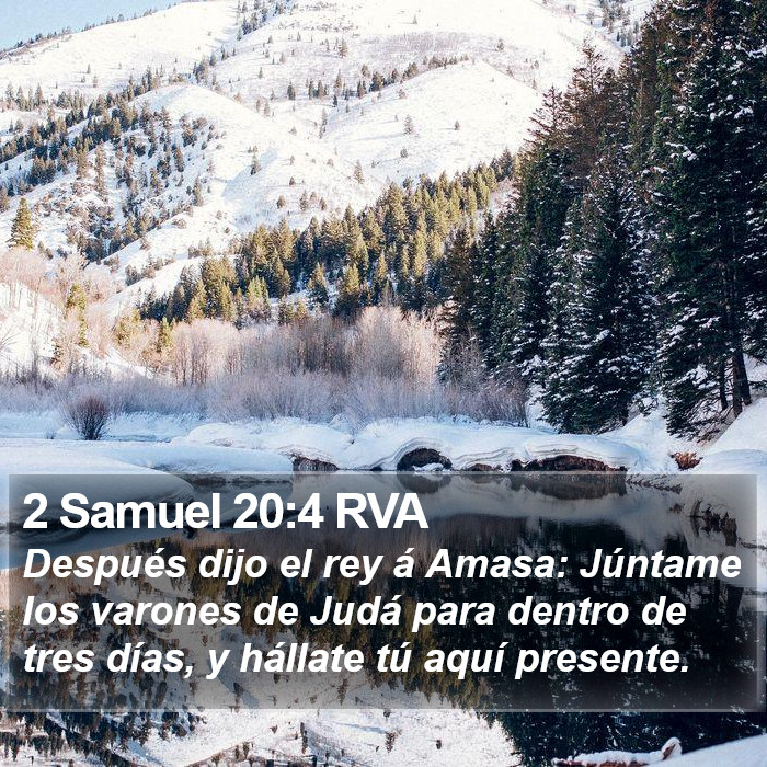 2 Samuel 20:4 RVA Bible Study