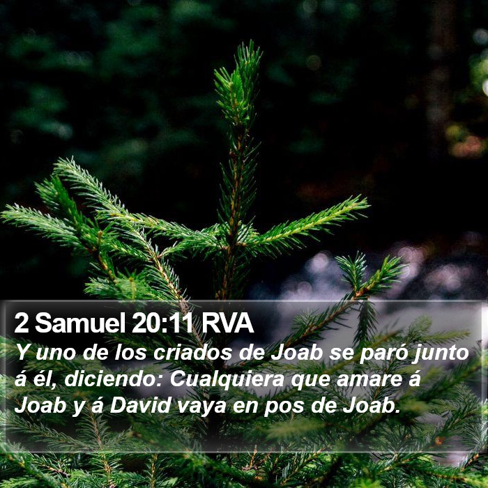 2 Samuel 20:11 RVA Bible Study