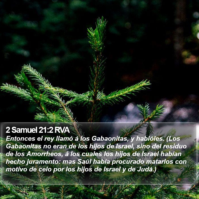 2 Samuel 21:2 RVA Bible Study