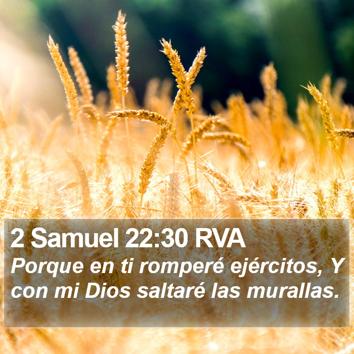 2 Samuel 22:30 RVA Bible Study