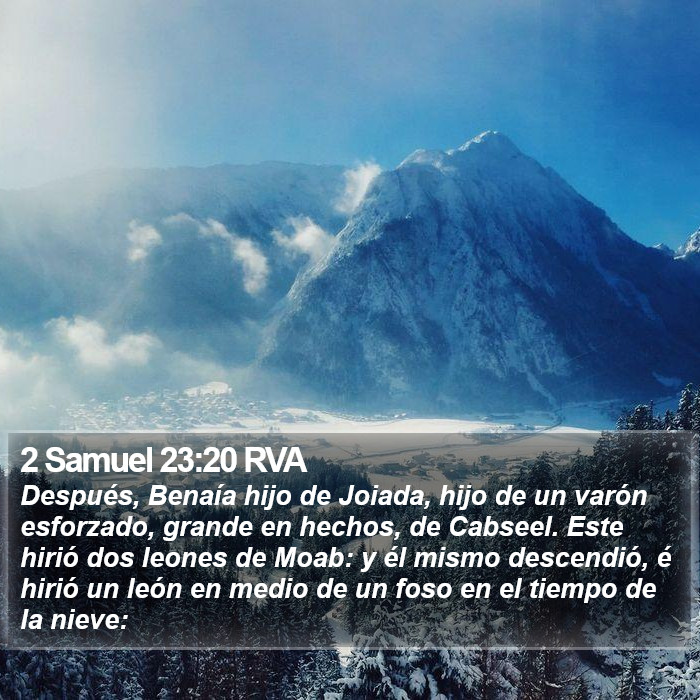 2 Samuel 23:20 RVA Bible Study