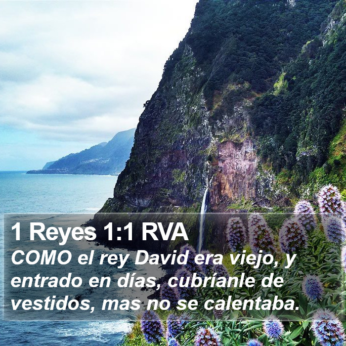 1 Reyes 1:1 RVA Bible Study