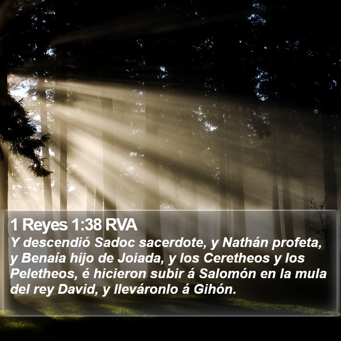 1 Reyes 1:38 RVA Bible Study