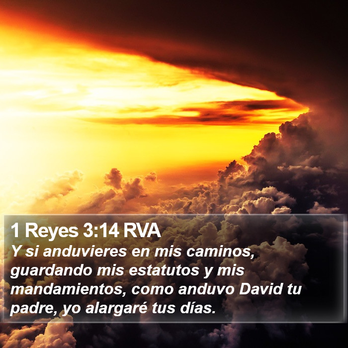 1 Reyes 3:14 RVA Bible Study