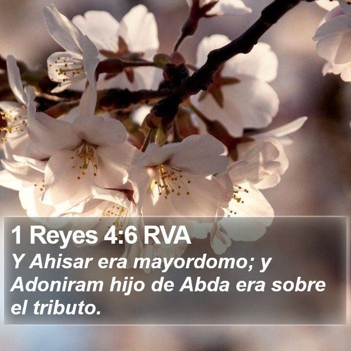 1 Reyes 4:6 RVA Bible Study