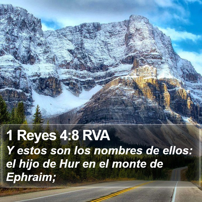 1 Reyes 4:8 RVA Bible Study