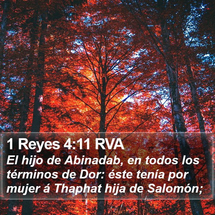 1 Reyes 4:11 RVA Bible Study