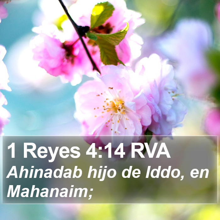 1 Reyes 4:14 RVA Bible Study