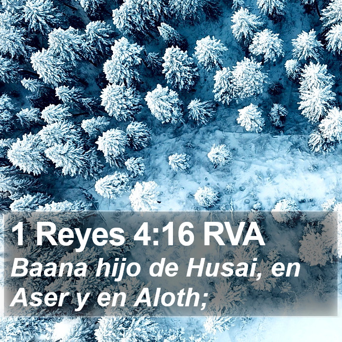 1 Reyes 4:16 RVA Bible Study