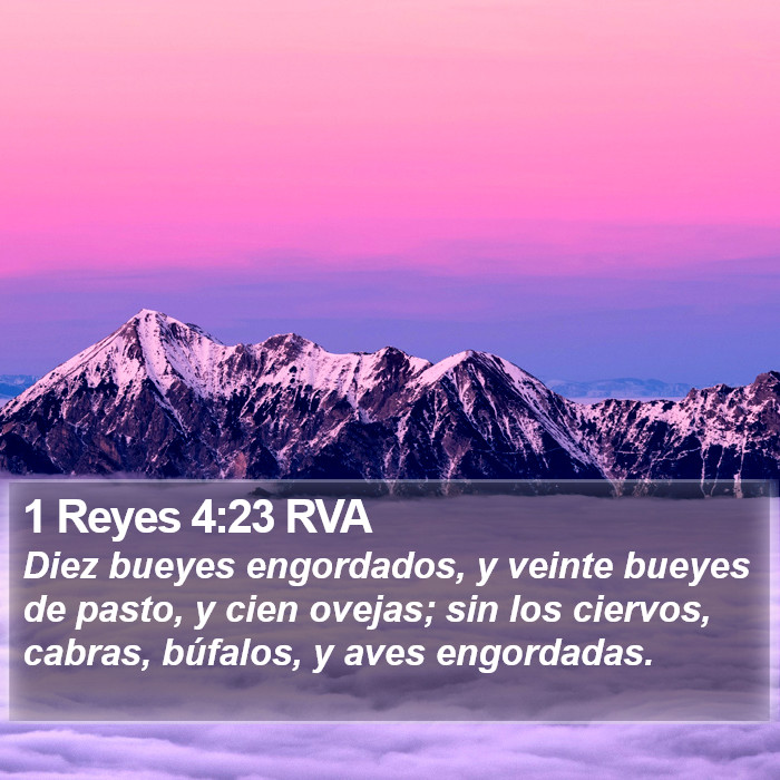 1 Reyes 4:23 RVA Bible Study