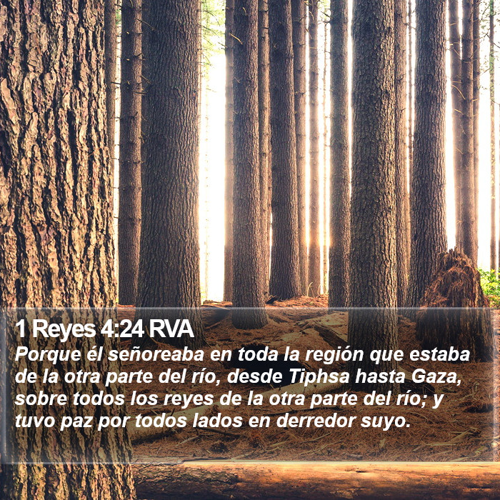 1 Reyes 4:24 RVA Bible Study