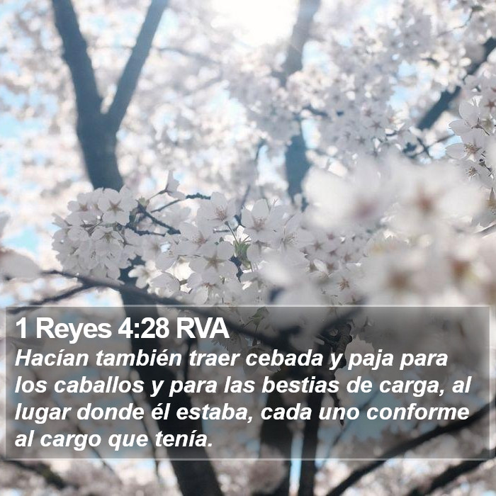 1 Reyes 4:28 RVA Bible Study