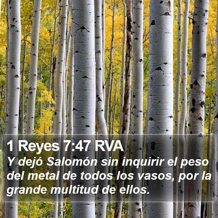 1 Reyes 7:47 RVA Bible Study