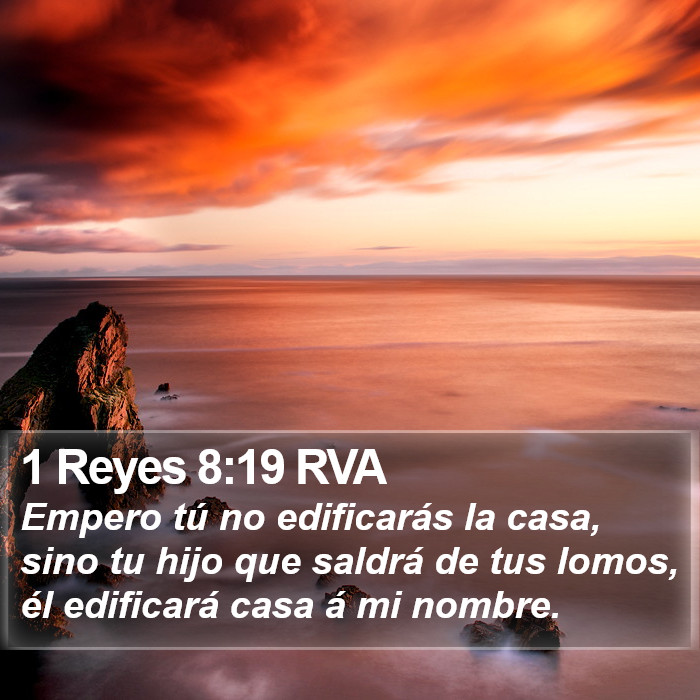 1 Reyes 8:19 RVA Bible Study