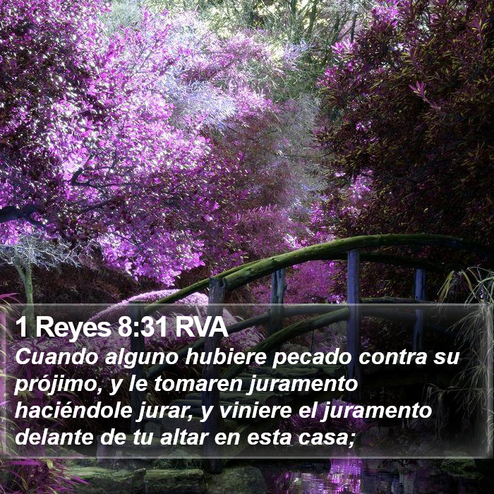 1 Reyes 8:31 RVA Bible Study