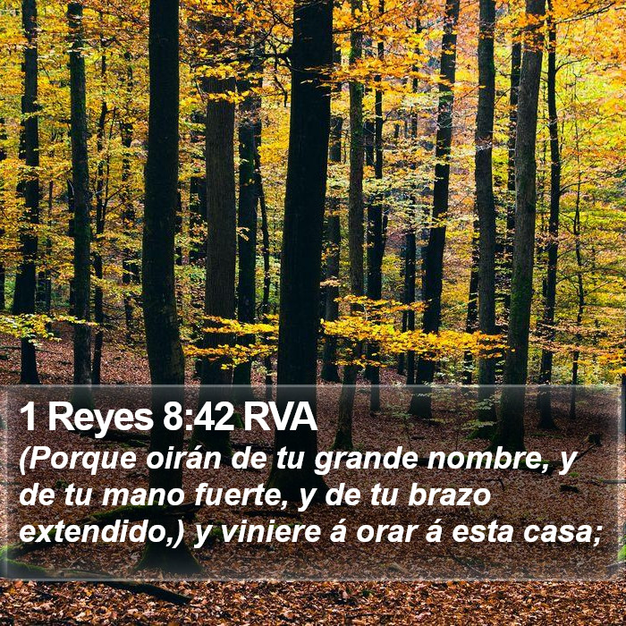 1 Reyes 8:42 RVA Bible Study