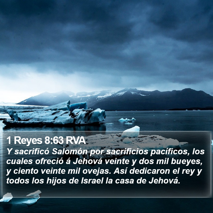 1 Reyes 8:63 RVA Bible Study