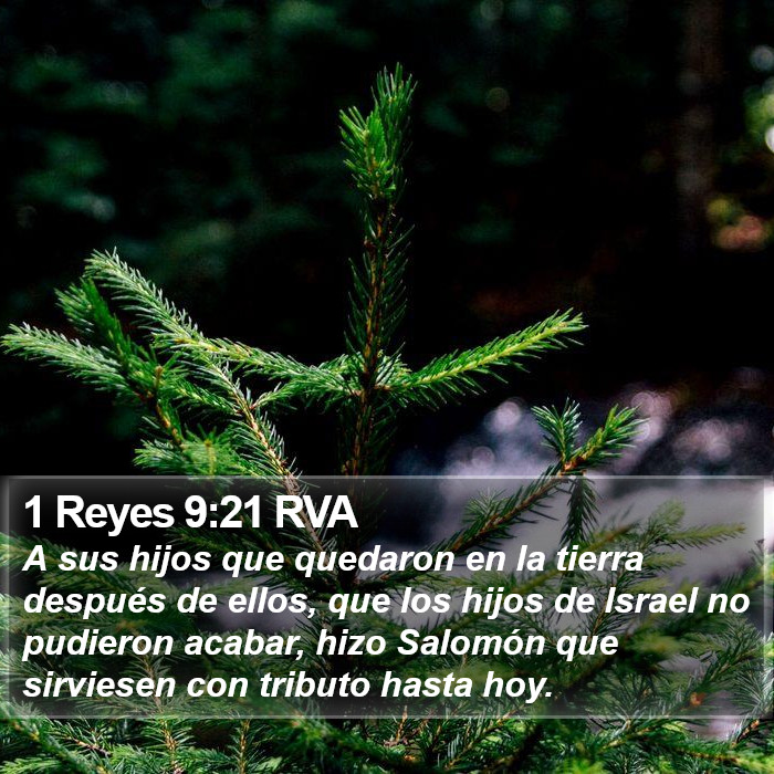 1 Reyes 9:21 RVA Bible Study