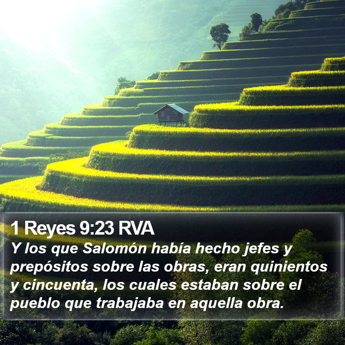 1 Reyes 9:23 RVA Bible Study