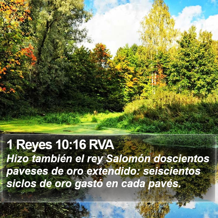 1 Reyes 10:16 RVA Bible Study